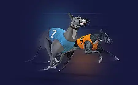 Virtual Greyhound Races
